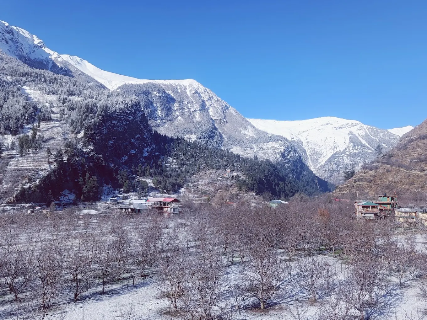 Himalayan landscape around Negi Cottage